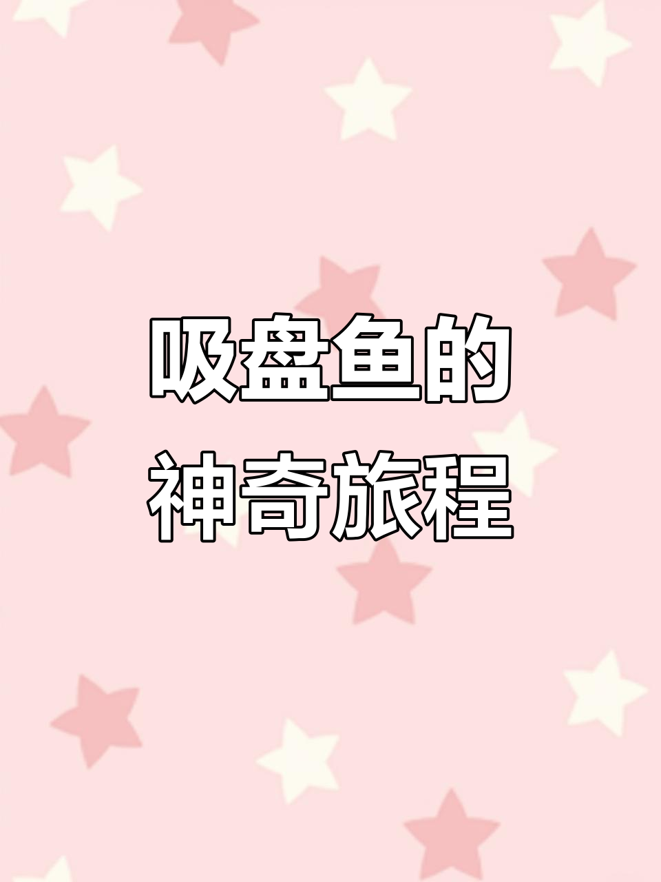 吸盘鱼如何借助鲸鲨旅行?揭秘它们的独特生存方式