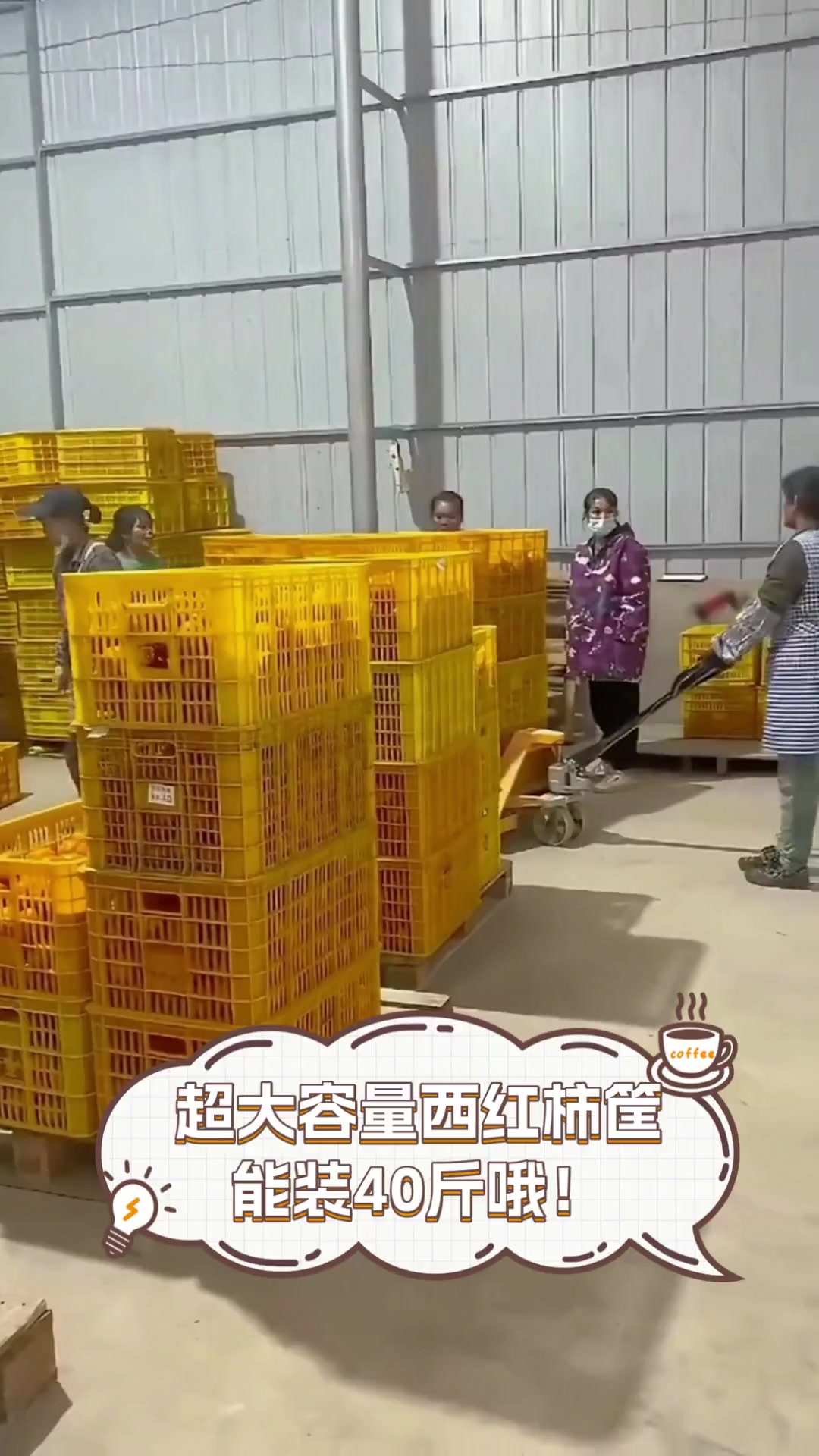 超大容量西红柿筐,能装40斤哦!