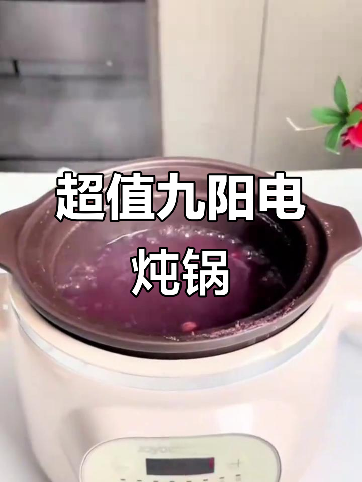 九阳电炖锅,紫砂内胆煲汤熬粥神器