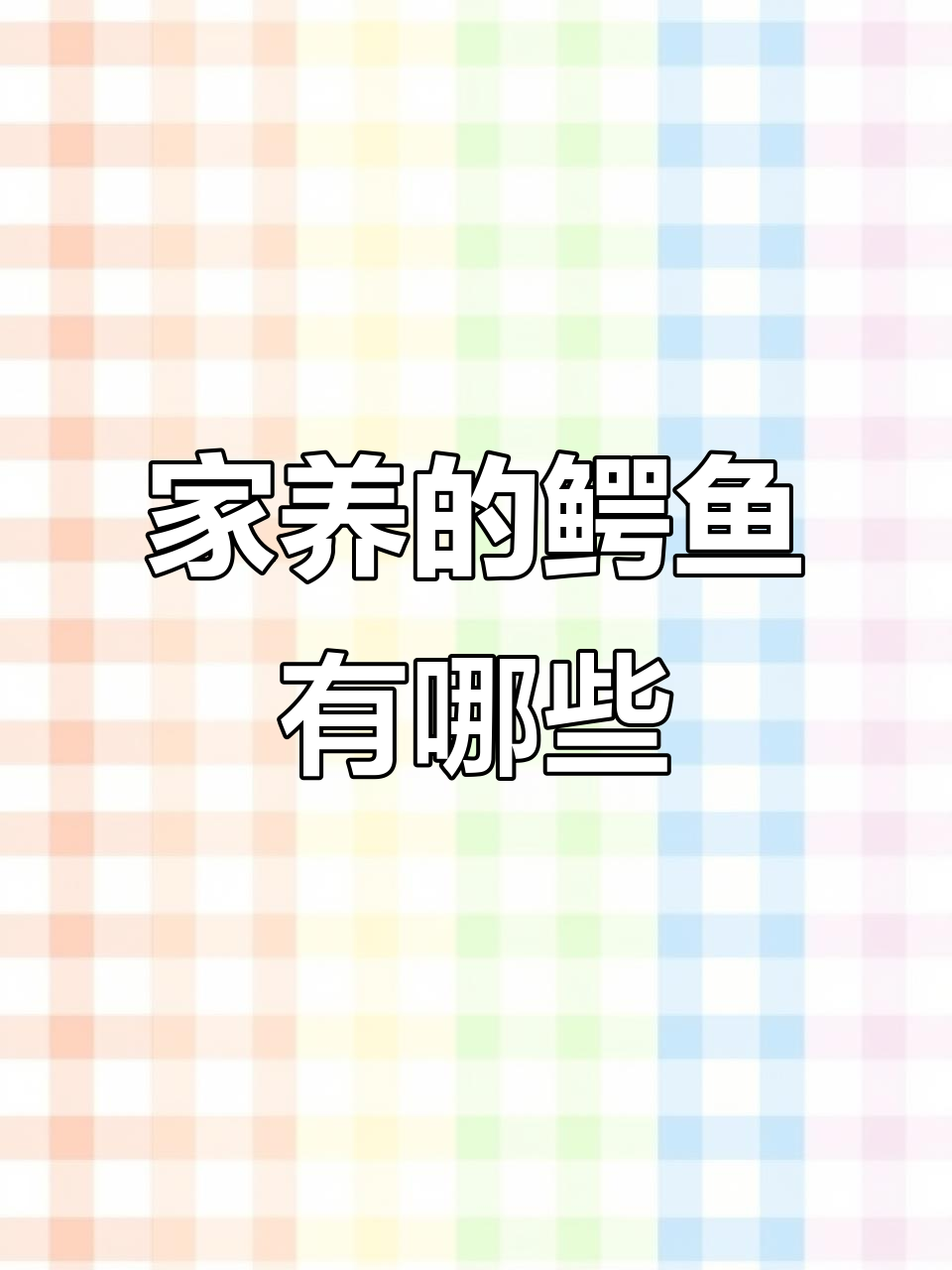 哪些鳄鱼品种适合家养?暹罗鳄最合适