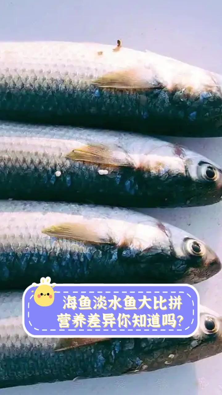 海鱼淡水鱼大比拼,营养差异你知道吗?