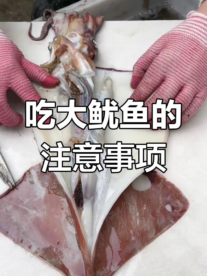 大鱿鱼处理全攻略,哪些部位不能吃?