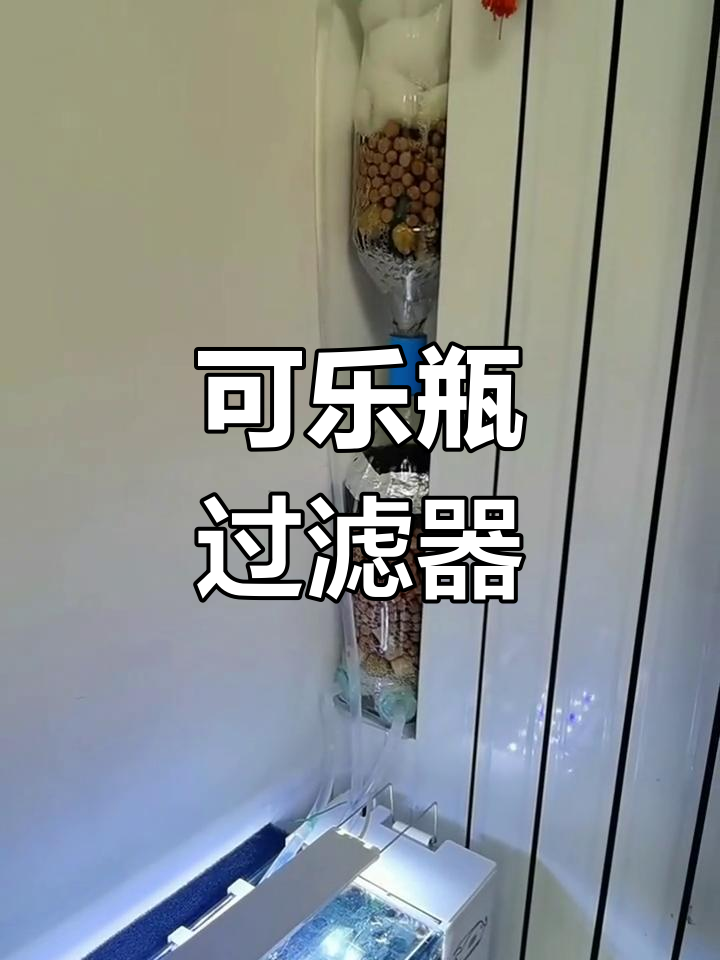 用可乐瓶打造鱼缸过滤,干湿分离轻松DIY