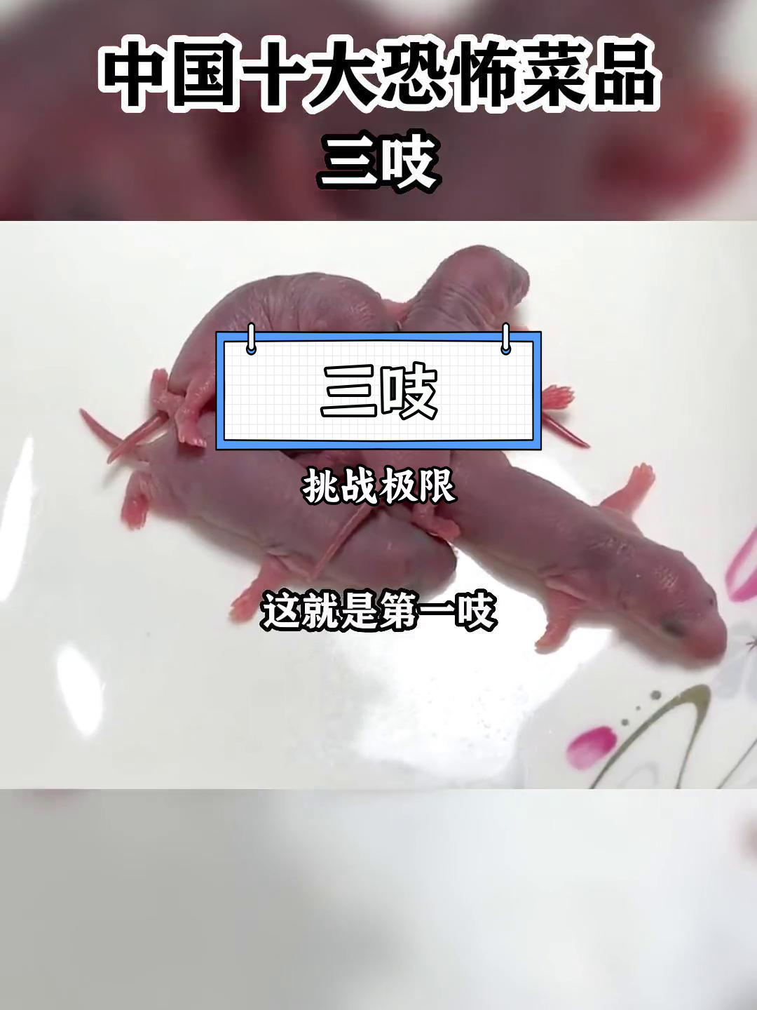 恐怖美食:三吱的吃法让人无法下咽