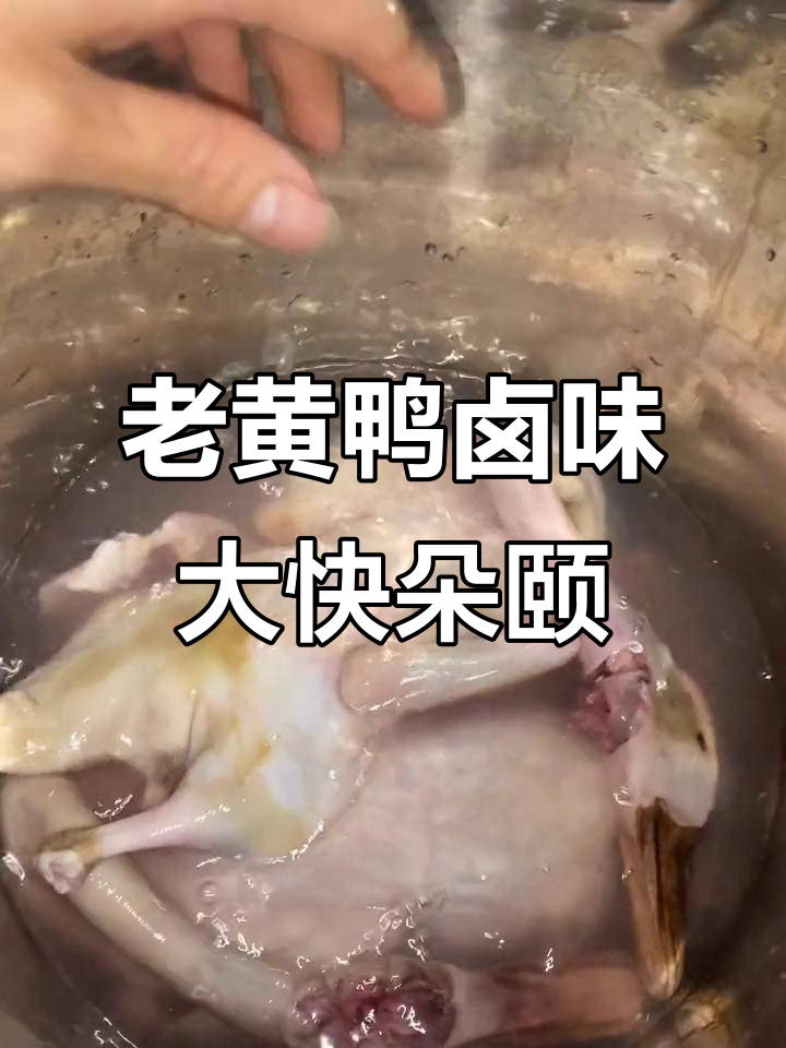 三年老鸭卤制,味道绝了!吃上一口告别2022