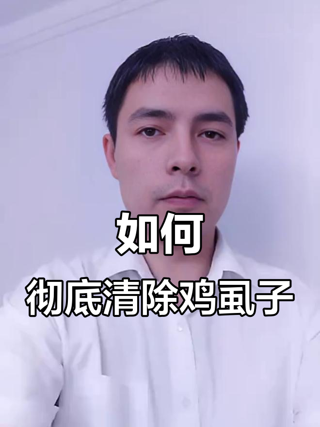 鸡虱子防治全攻略：从驱虫到灭卵一步到位