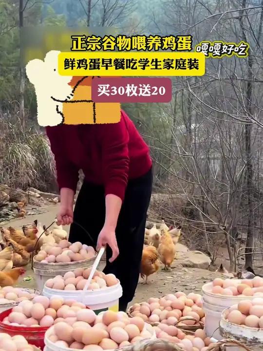 视频同款农家土鸡蛋