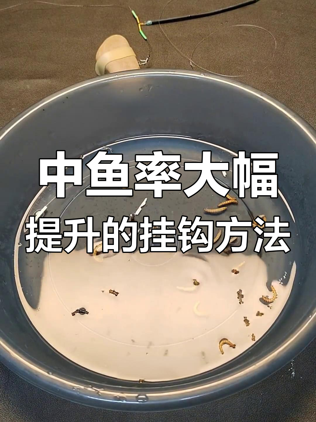 面包虫挂法大揭秘,提升中鱼率的小技巧