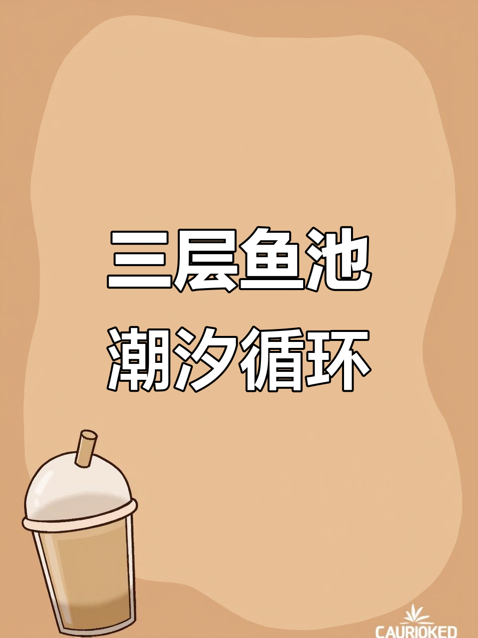 鱼菜共生管道潮汐循环种植系统,三层梯状设计巧妙水路