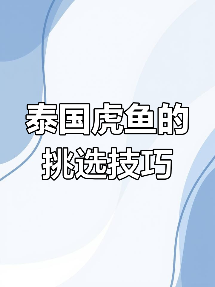 泰国虎鱼:珍贵观赏与养殖指南