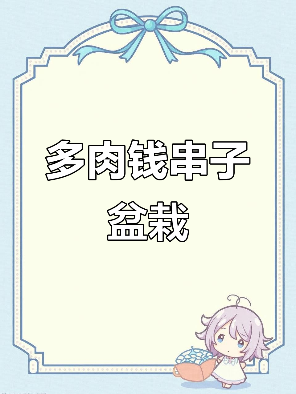 钱串子多肉盆栽,陶瓷花瓶搭配更美观