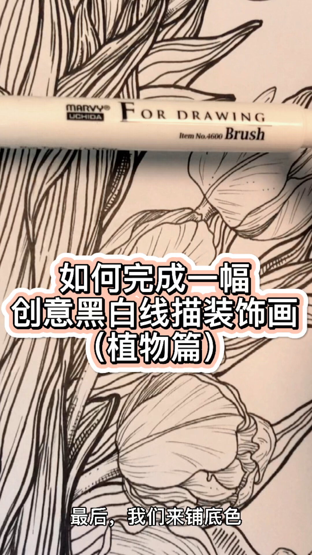 绘画学习|黑白线描装饰画|植物|郁金香