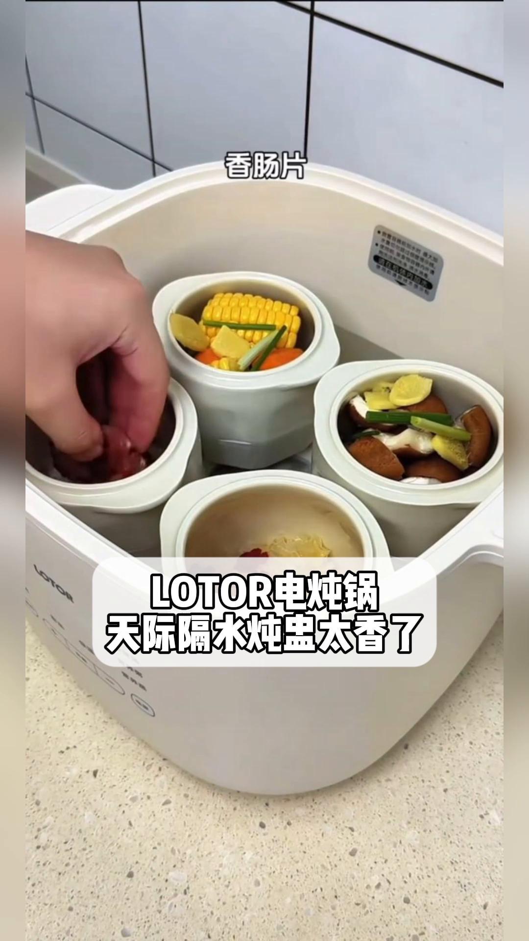 LOTOR电炖锅,天际隔水炖盅太香了