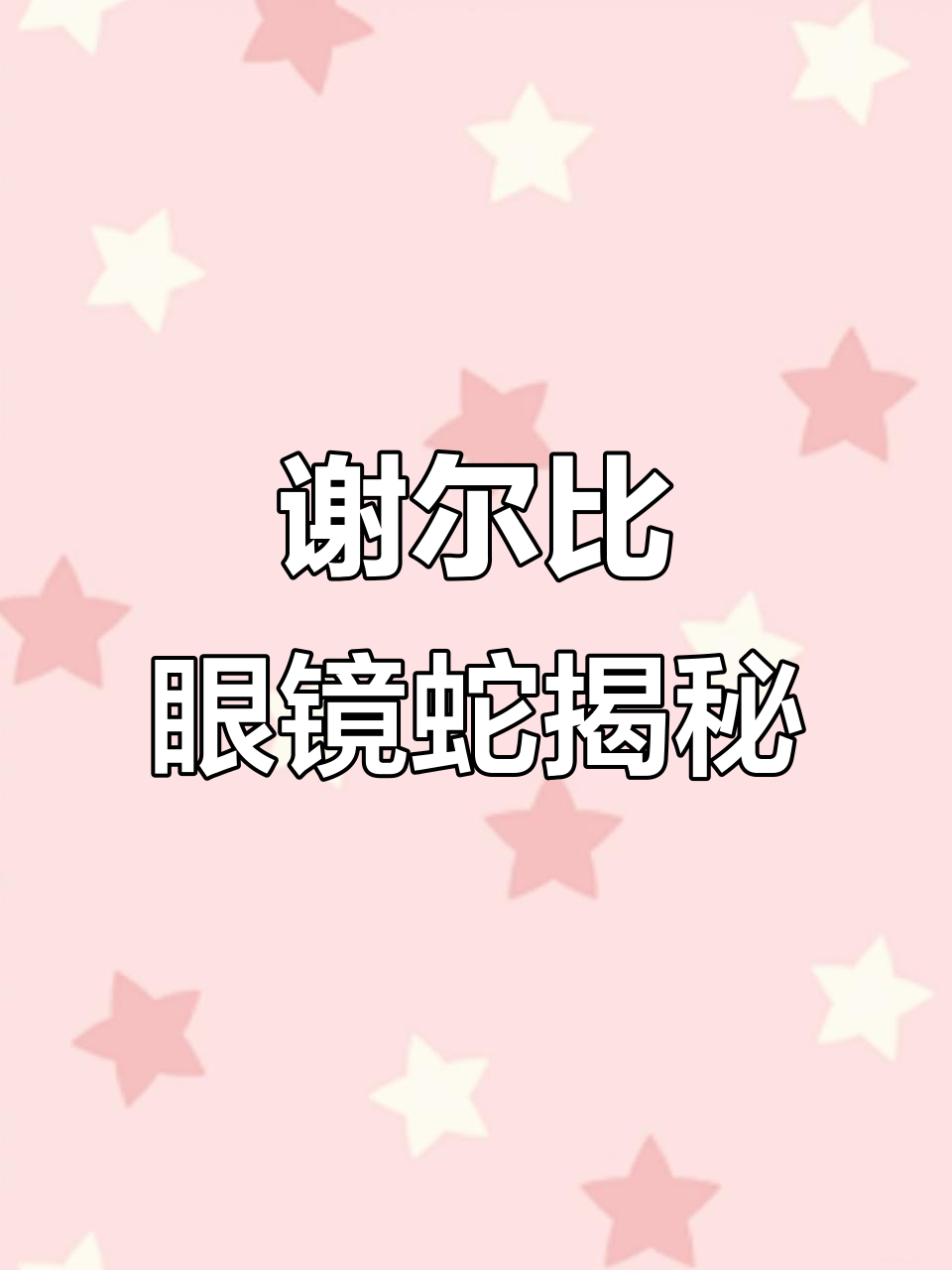 谢尔比眼镜蛇:野马GT500的独特魅力与高性能