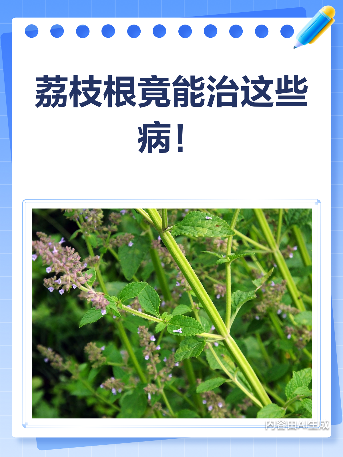 荔枝根能治什么病?答案让你大开眼界!