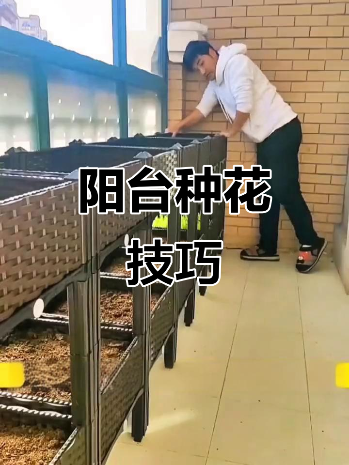阳台菜园设计全攻略,打造家庭园艺新风尚