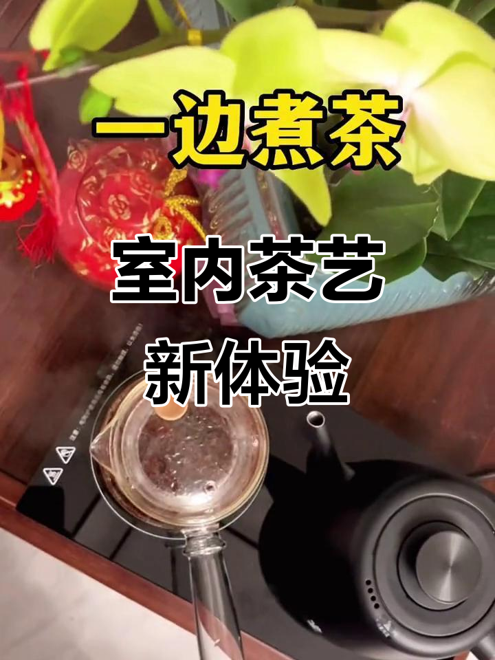 在家享受传统与现代结合的茶艺，煮茶烤茶一应俱全