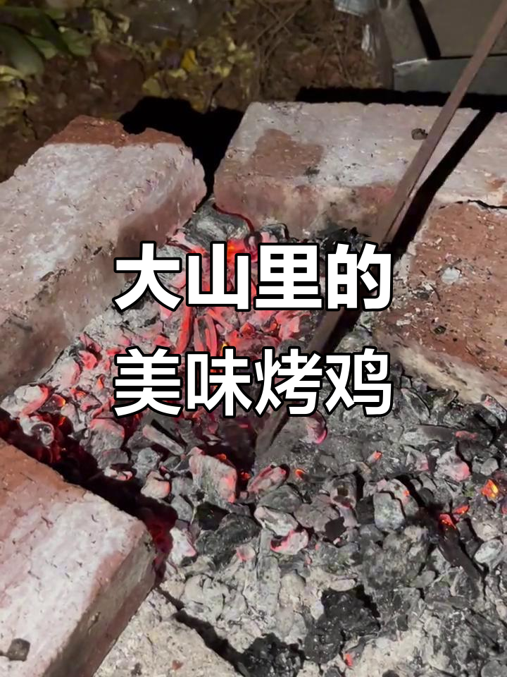 野外烤鸡大餐，玉米包裹鸡肉香气扑鼻