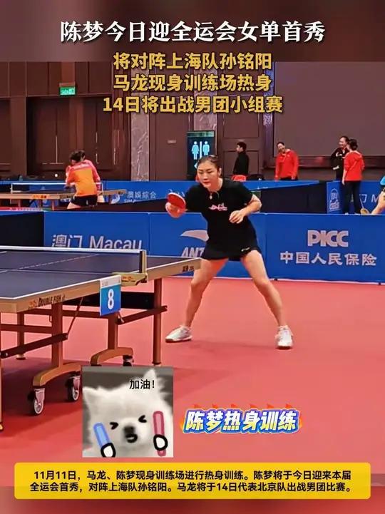 陈梦今日迎全运会女单首秀 将对阵上海队孙铭阳 马龙现身训练场热身 14日将出战男团小组赛 