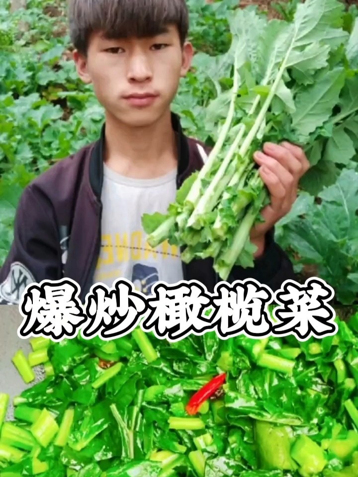 这个我们云南叫橄榄菜,就是专门撇菜尖吃的