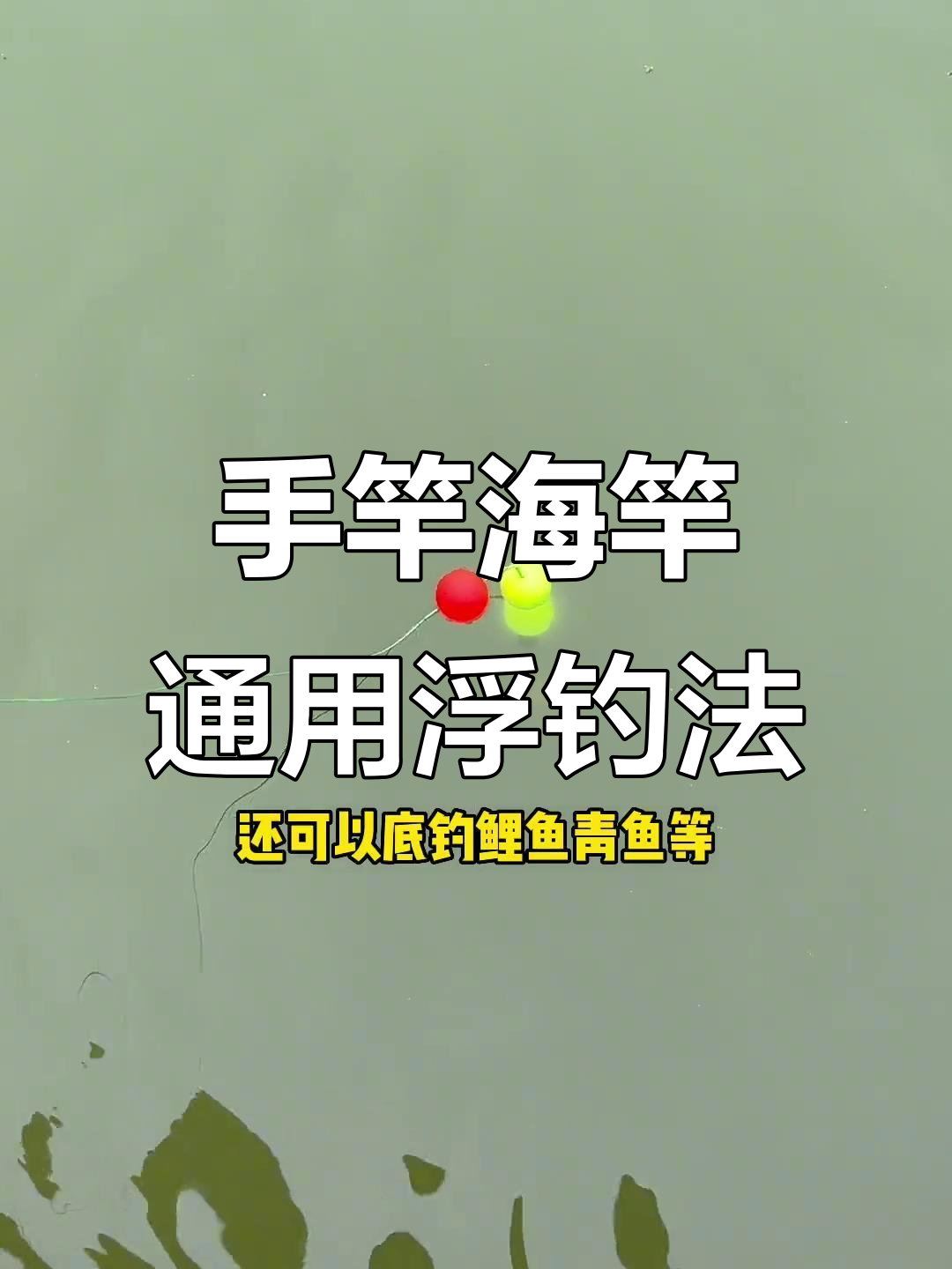 新型浮钓草鱼线组,手竿海竿都能用!
