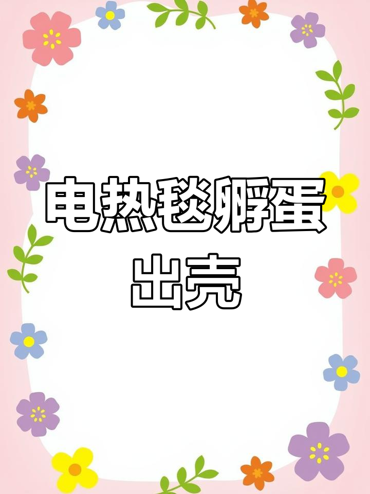 八二年电热毯孵化小鸡小鹅,终于迎来破壳时刻!