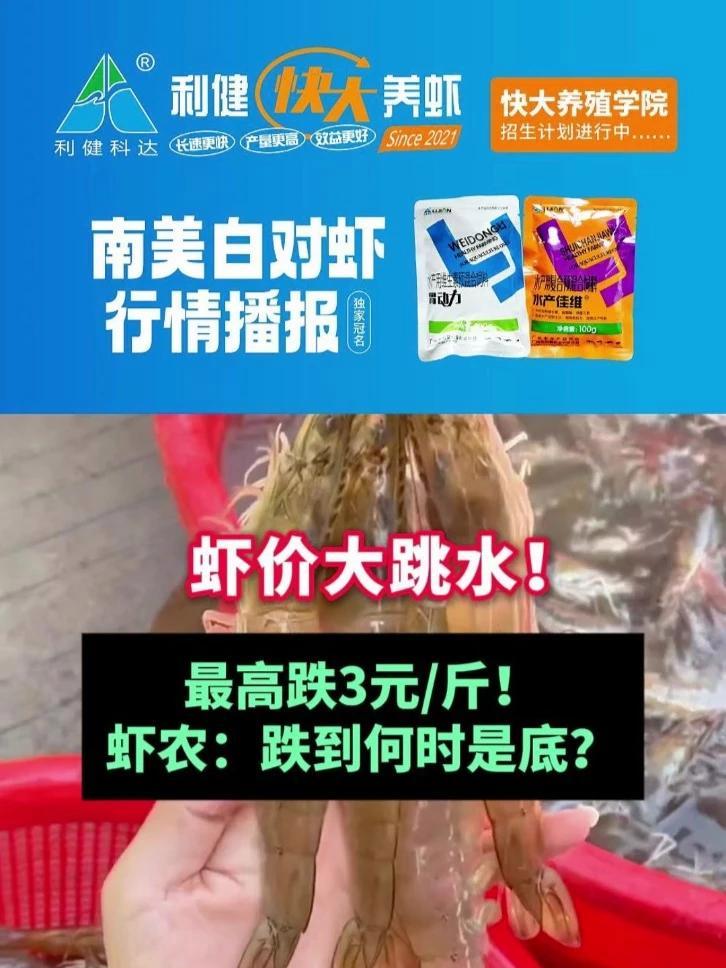 虾价大跳水!最高跌3元斤!发病率渐升、需求量减少……虾农:跌到何时是底?虾价 对虾 南美白