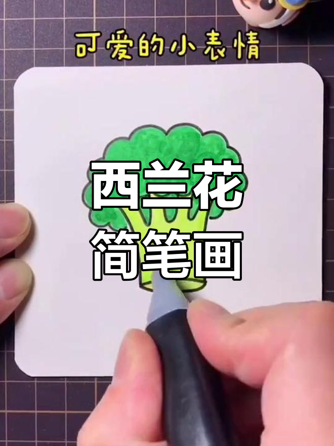 创意西兰花简笔画教程
