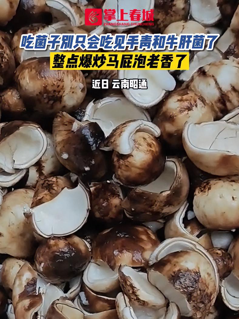 吃菌子别只会吃见手青和牛肝菌了,整点爆炒马屁泡老香了 云南野生菌 云南这本书你读到第几页了