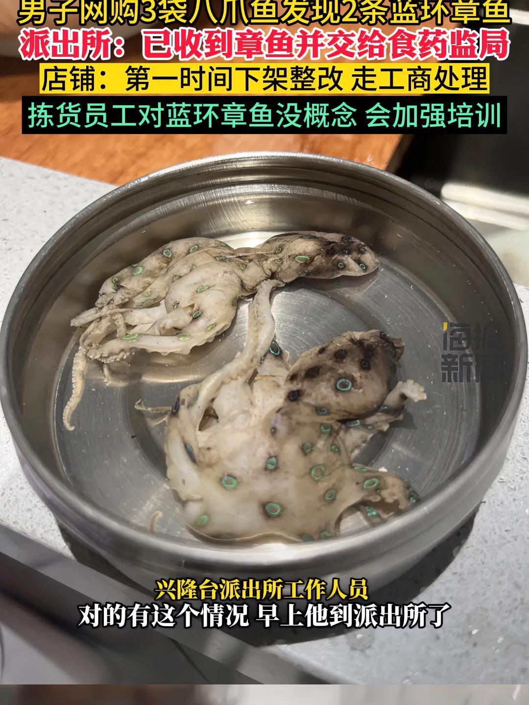 男子网购3袋八爪鱼发现2条蓝环章鱼 商家回应:已下架整改、拒赔顾客2000元 热点追踪 蓝