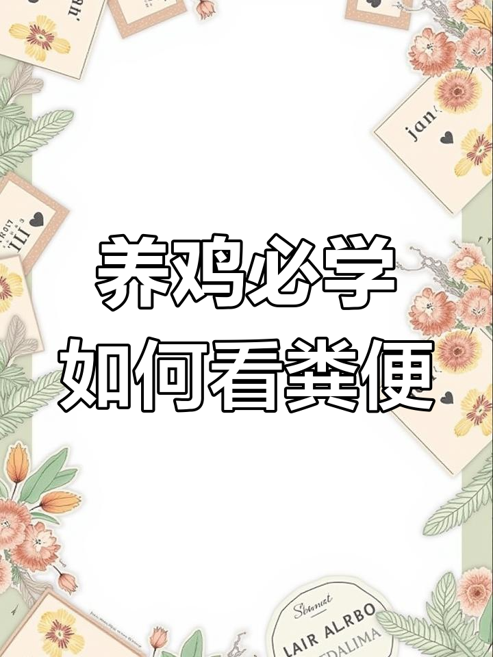 鸡粪便观察全攻略:从颜色到疾病的判断