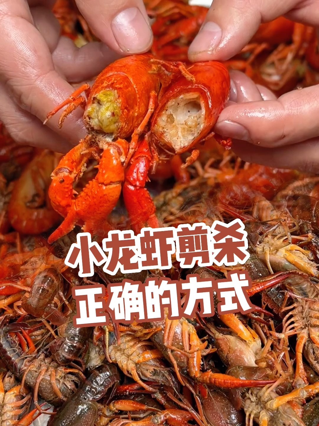 小龙虾如何正确处理剪杀去头,保留完整虾黄