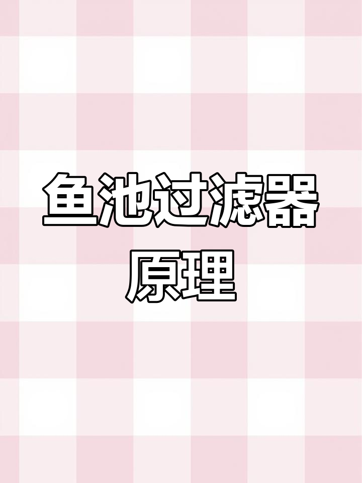 鱼池过滤系统全解析:从假山到清水仓,每一步都关键