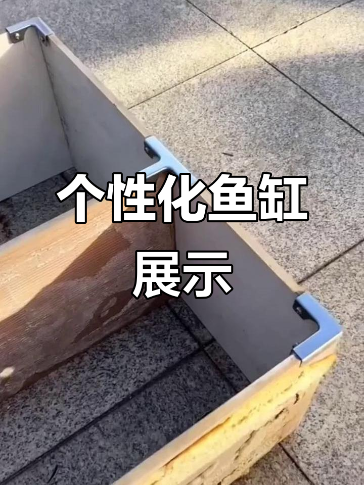 多种形状任选，轻松打造个性化鱼缸展示柜