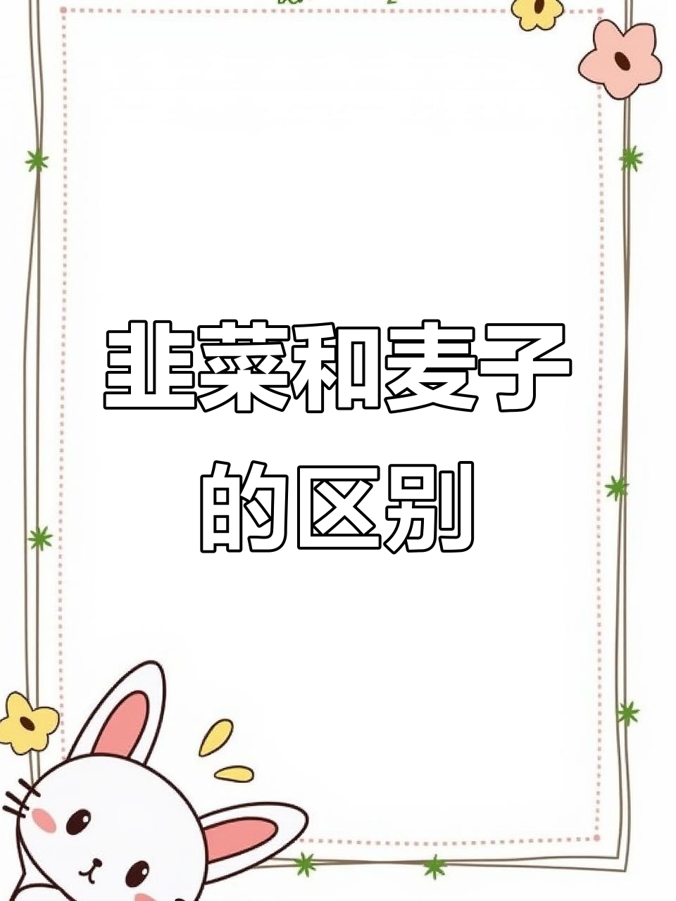 韭菜与麦子大不同,看看这些细节你发现了吗?