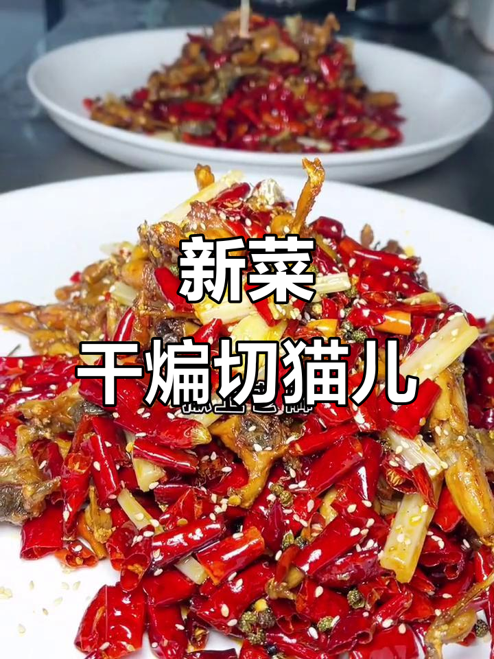 干煸切猫儿,绵阳新菜上线!看着就让人食欲大增