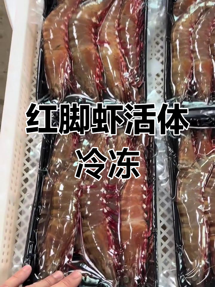 野生红角虾速冻保鲜,口感鲜美
