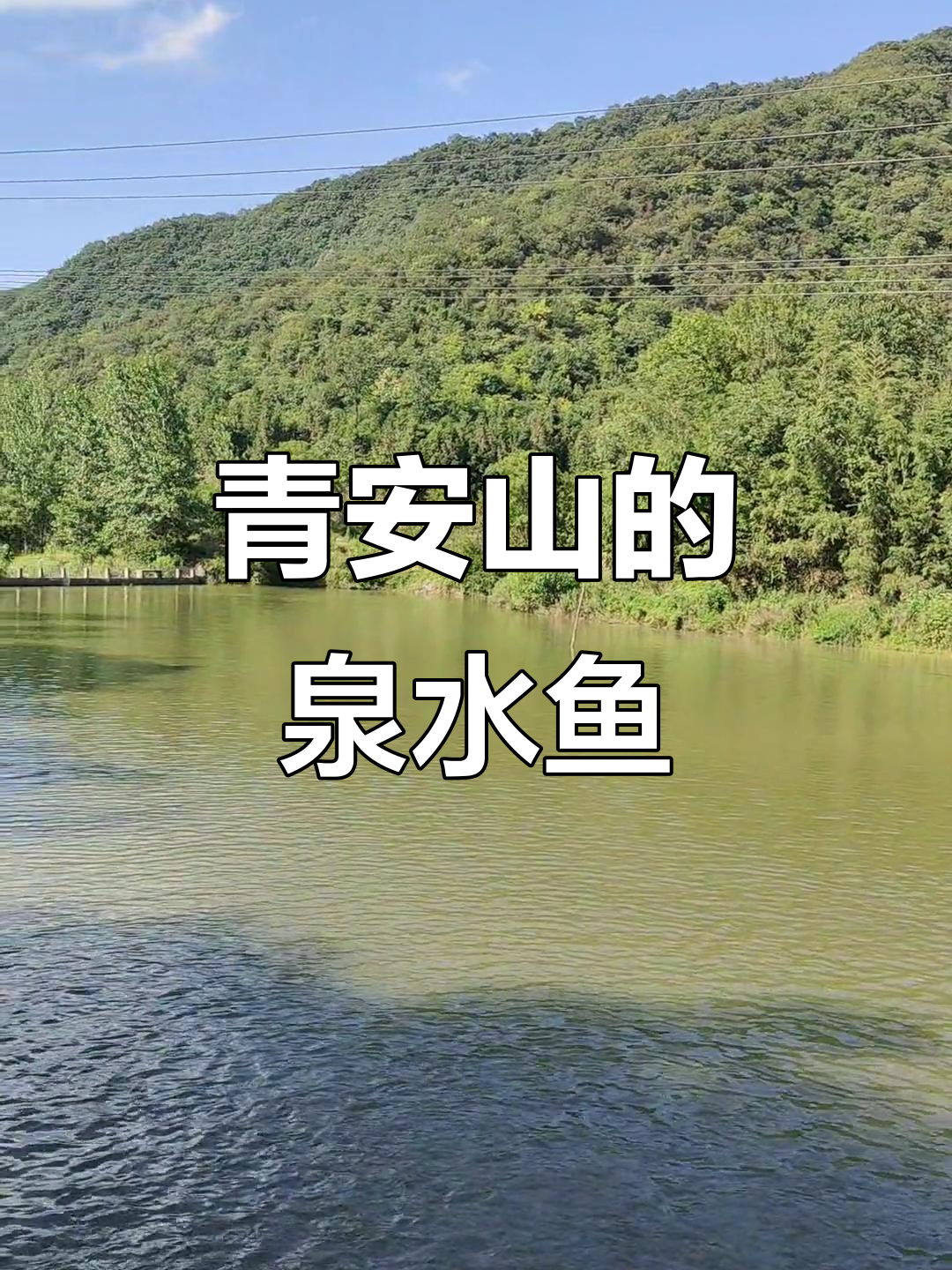 青鞍山泉水鱼：独特养殖方式，味道鲜美无比