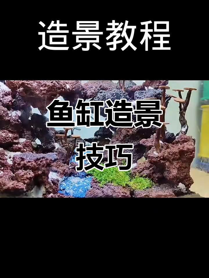 鱼缸造景全攻略，轻松打造流沙瀑布与水草美景