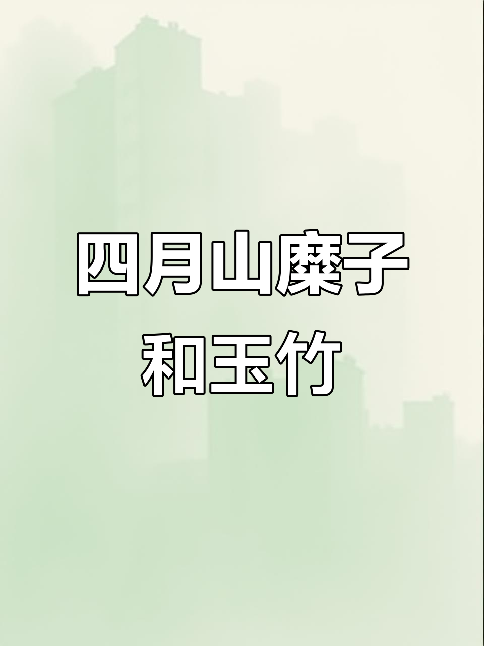 四月山糜子与玉竹的奇妙之旅,探秘野生蔬菜的美味秘密