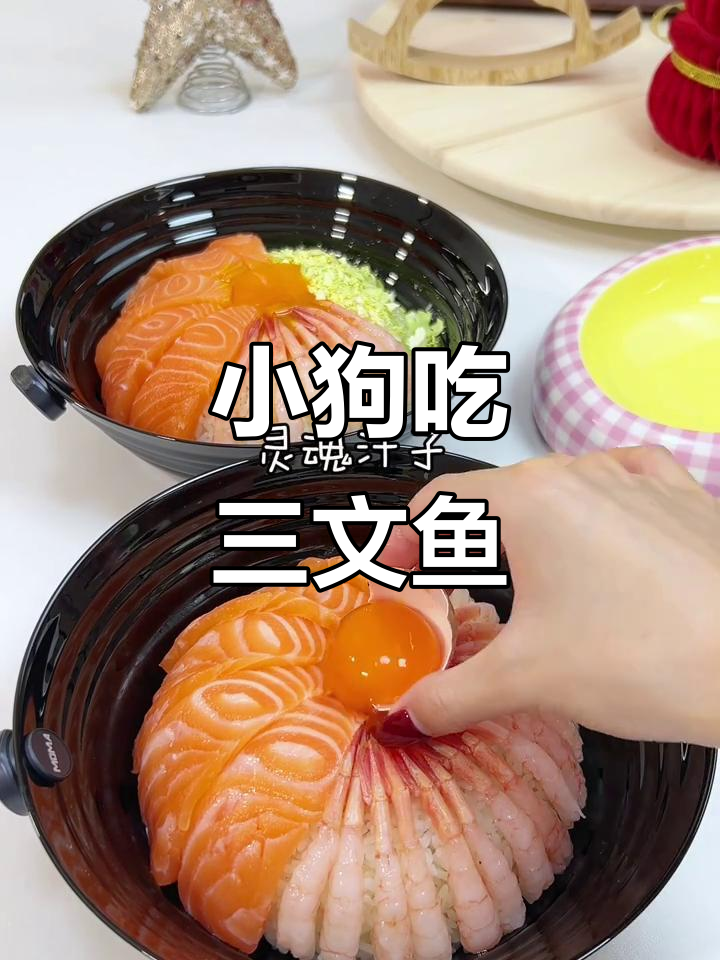 小狗尝鲜三文鱼刺身,定制美味大餐