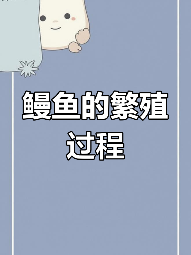 鳗鱼如何从透明玻璃鱼变成黄鳗?