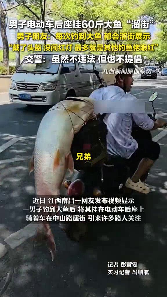 男子电动车后绑60斤大鱼“巡游”市中心,交警:不违法,但不提倡