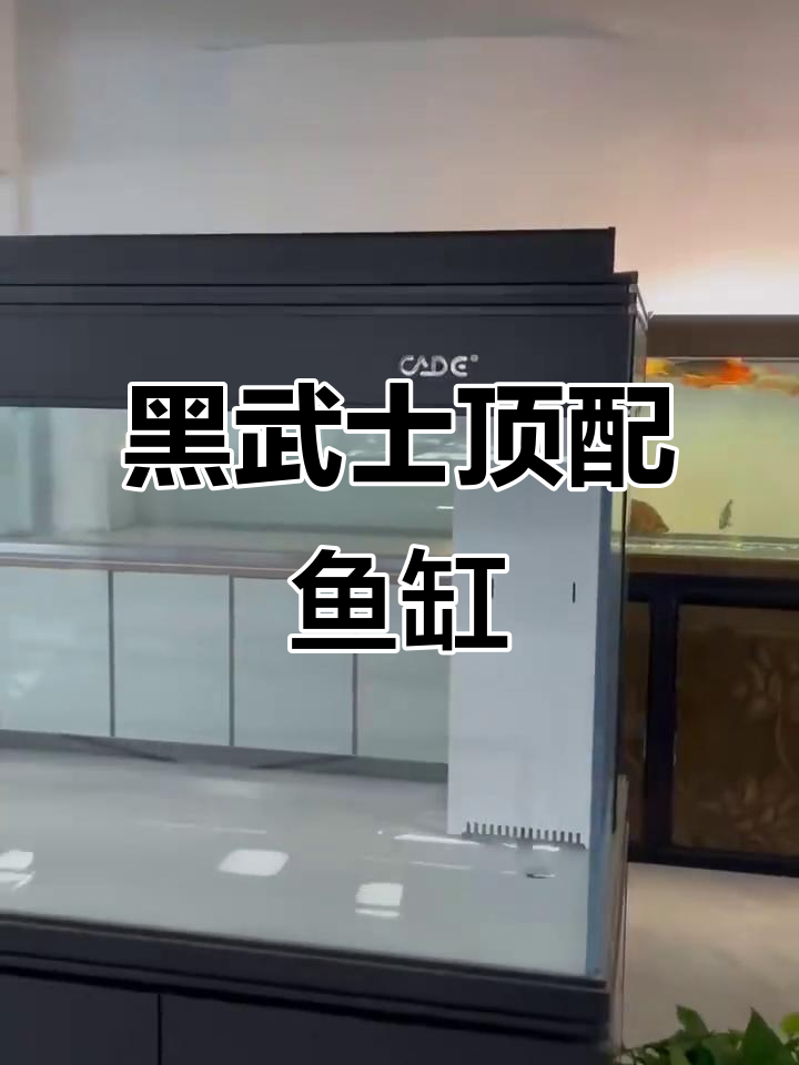 彩蝶DX黑武士顶配鱼缸,白底设计带担架灯管现货