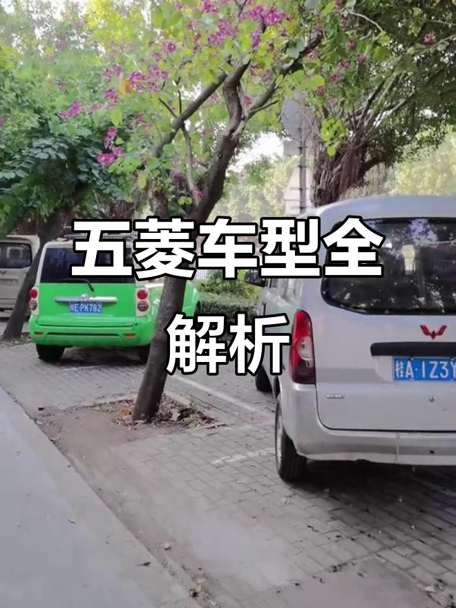 五菱神车大揭秘!面包车、荣光加长版一应俱全