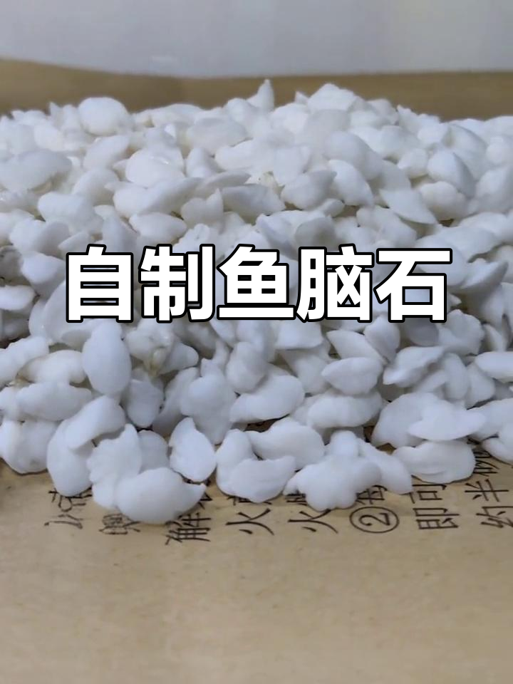 石首鱼脑石,自制煅制过程分享!