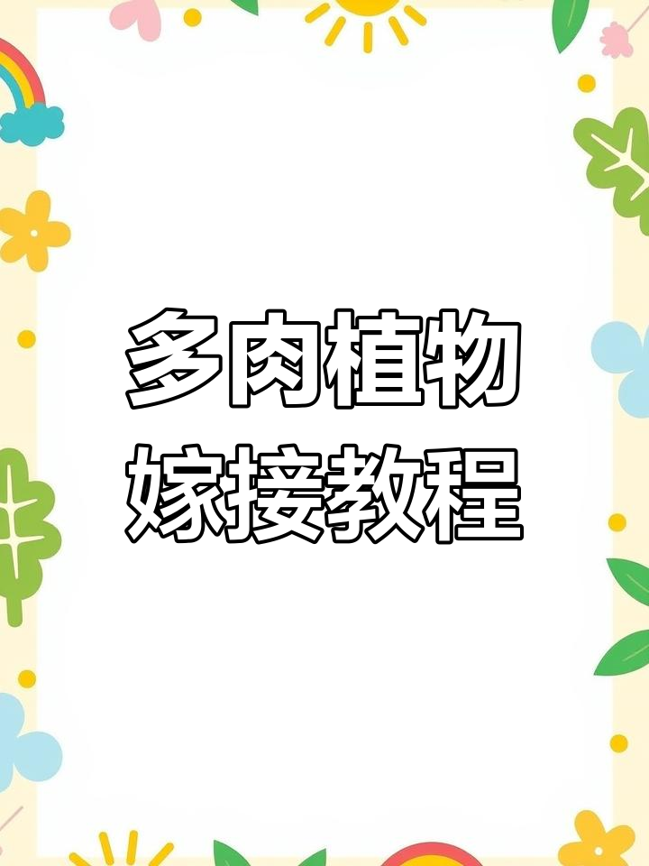 沙漠将军与谢尔兰枝条的独特嫁接技巧,打造美丽多肉植物