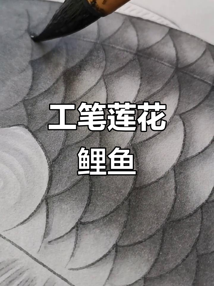 荷花鲤鱼工笔画，分染技艺展现鳞片之美