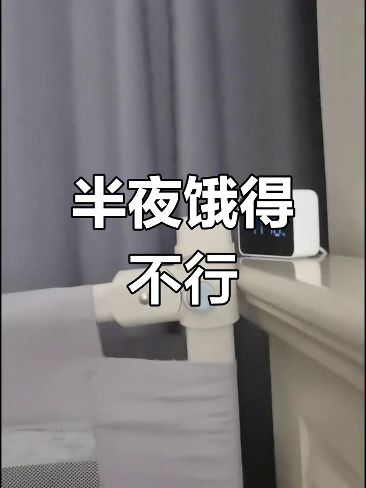 小爱同学半夜饿了,给我做蒸羊羔、烧花鸭!