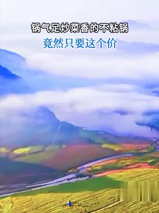 这个无涂层小铁锅太好用了,炒菜香还耐用,家里没有的一定要备一个 好物推荐 厨房好物 铁锅 